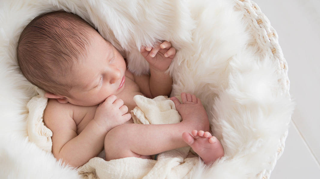 Newborn baby boy laying in a white basket on a cloud of white fur