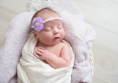 Newborn baby girl in basket with purple and cream accents.