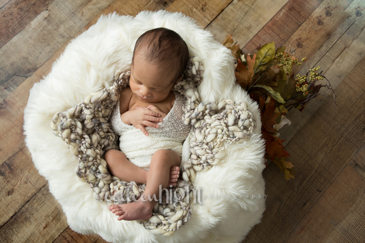 Newborn Boy in White Basket with Fall Florals